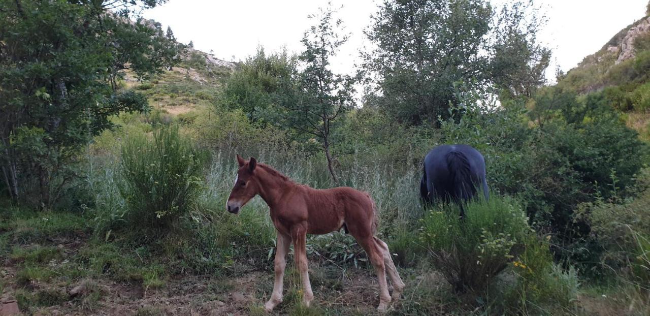 Casa Rural Carmen Luna Mallo de Luna Zewnętrze zdjęcie